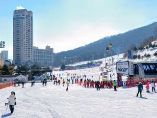 ※照片提供：江原道经济振兴院