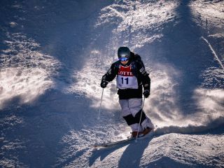 ※照片提供：江原道经济振兴院