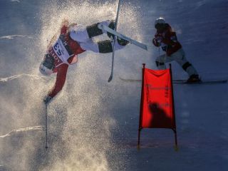 ※照片提供：江原道经济振兴院