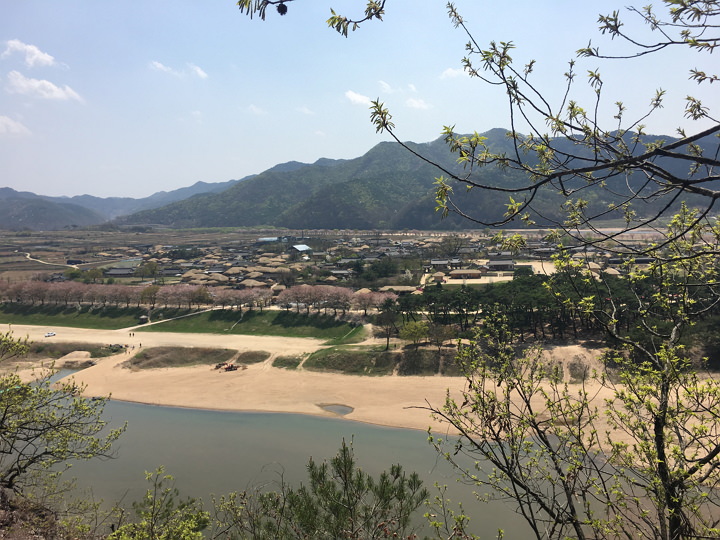 河回村被洛东江三面环绕,可见渡河的小艇