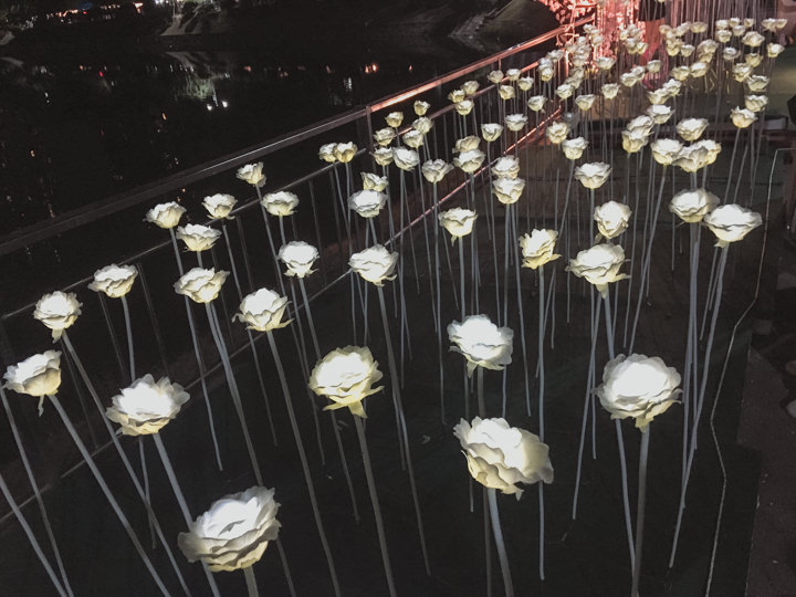 170515 建国大学校庆-校内玫瑰花海