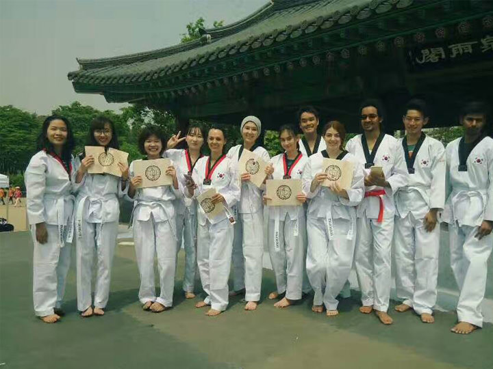 外国人跆拳道体验活动