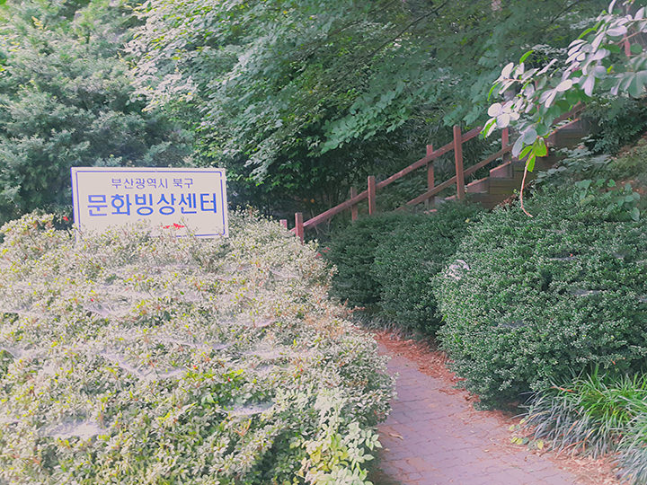 马路边草丛里很不起眼的告示牌