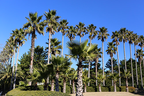 翰林公园
※ 照片由翰林公园提供