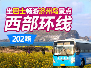 坐巴士畅游济州岛景点——202路西部环线
