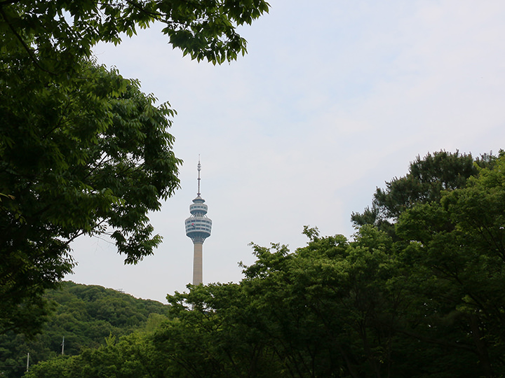 韩国景点 韩国旅游攻略 大邱乘坐城市观光巴士游大邱!