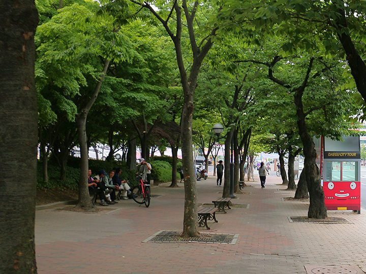 回来时才发现原来连候车亭也这么可爱