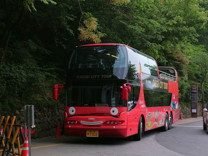 城市观光巴士的全貌