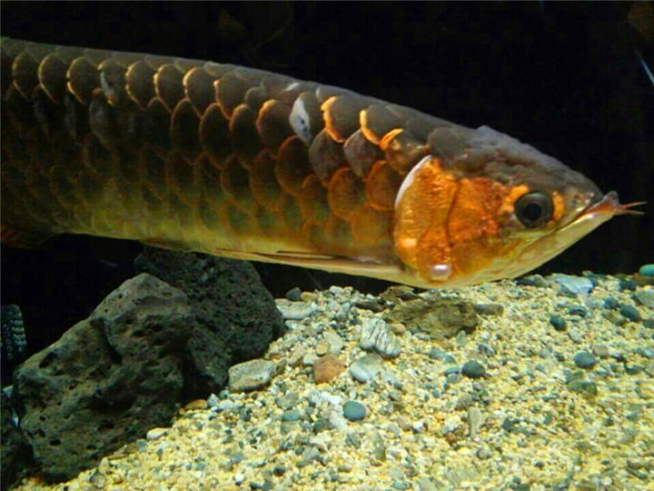 你在看我吗
可以再近一点