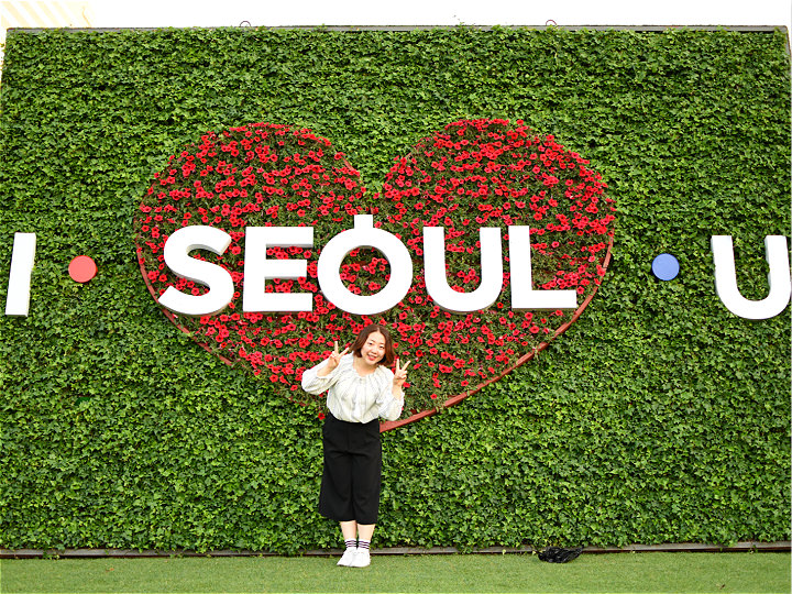 写有首尔宣传标语“I SEOUL U”的花墙