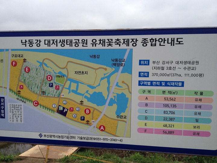 大渚生态公园综合信息板