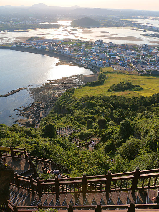 由上往下望的样子
就是满满的楼梯~
