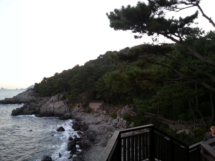 海边栈道很有感觉