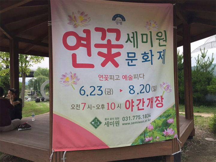 荷花文化节海报