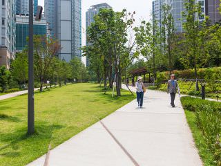 高层公寓小区内的都市公园