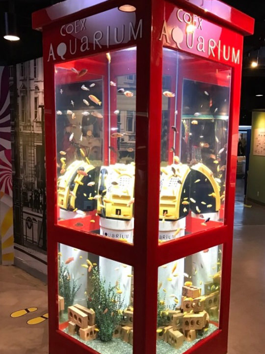 电话亭里的水世界