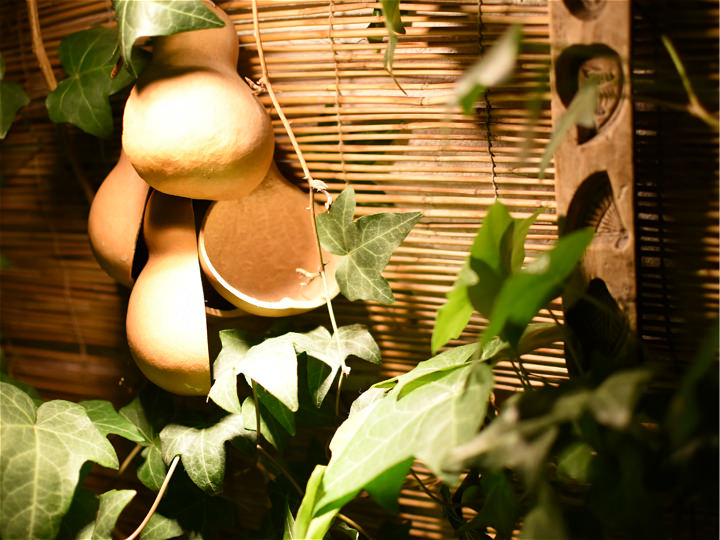 进门右侧的竹席垂下来,绿植和葫芦让人感觉雅致古典