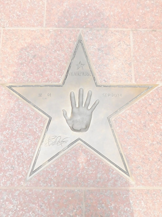 艺人宝儿的手掌印