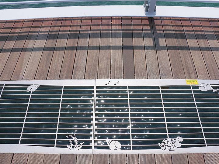 盖子上有可爱的海生动物设计