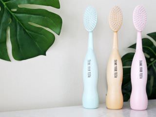 ※照片提供：范特VT