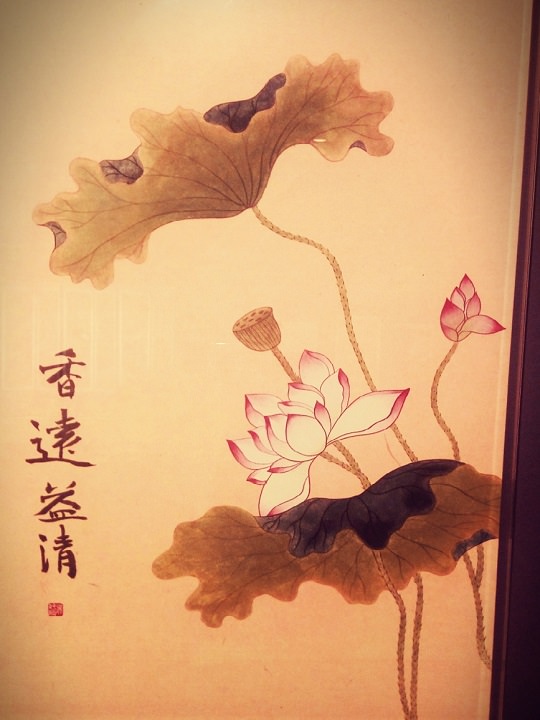 莲——香远益清,原来韩国人也读过周敦颐的《爱莲说》