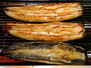 烤的黄灿灿的鳗鱼