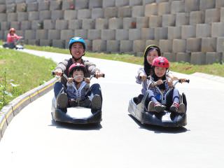 ※照片提供：SKYLINE Luge 统营