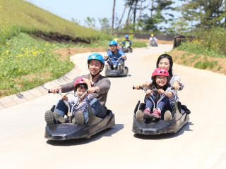 ※照片提供：SKYLINE Luge 统营