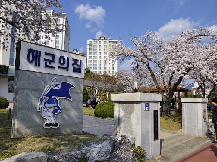 一生一定要去一次的"镇海樱花节"_韩国旅游攻略_韩国旅游网-韩巢网
