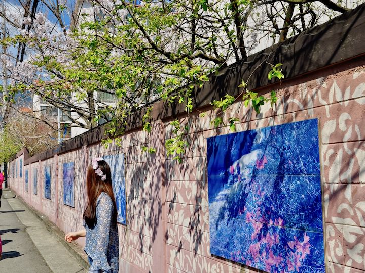 余佐川的岸边人行道