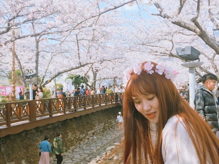 余佐川大道上的“那一低头的温柔”