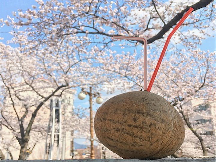 余佐川大道上的“椰子汁”