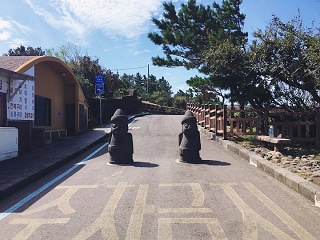 世界那么大,我想去济州看看