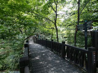 周边设有小路，是散步的好去处