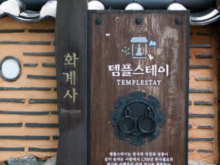 在外国游客中很有人气的寺庙体验