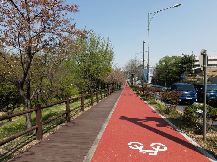 自行车和行人分开的道路标志