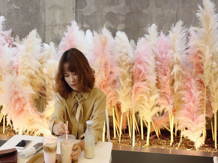 与粉色芦苇的合照