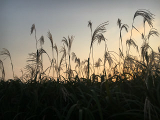 秋季不可错过的“蓝天公园”