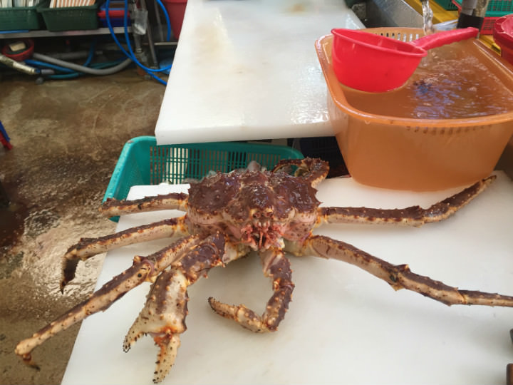 我们选中的这只超过2kg了