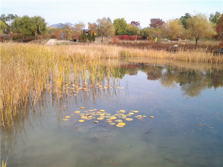 发现里面还有小鱼儿