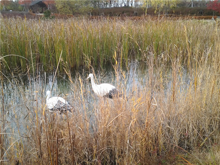 远看还以为是真的呢