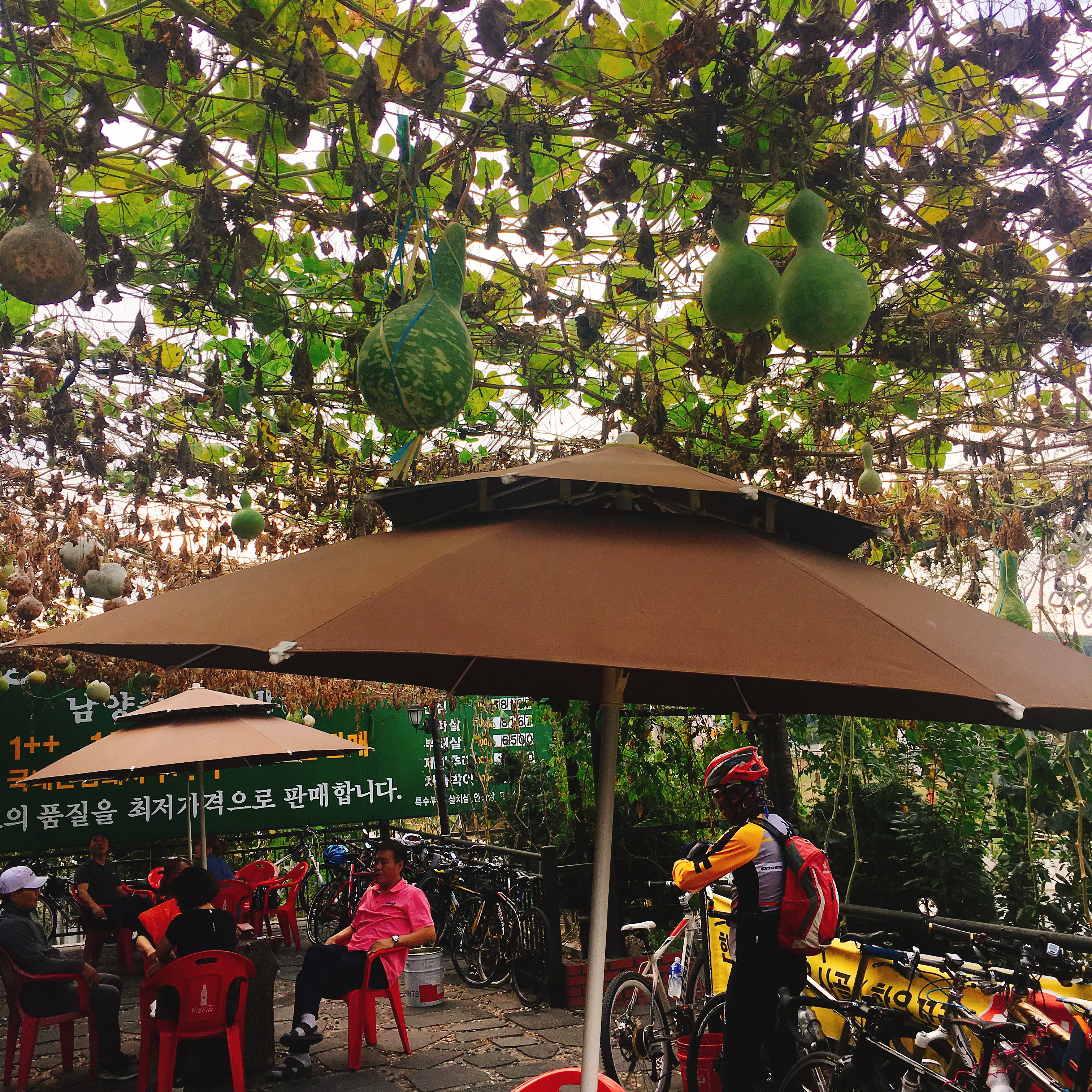 不少骑行者、登山客喜欢在运动之后来这里吃韩牛补充能量