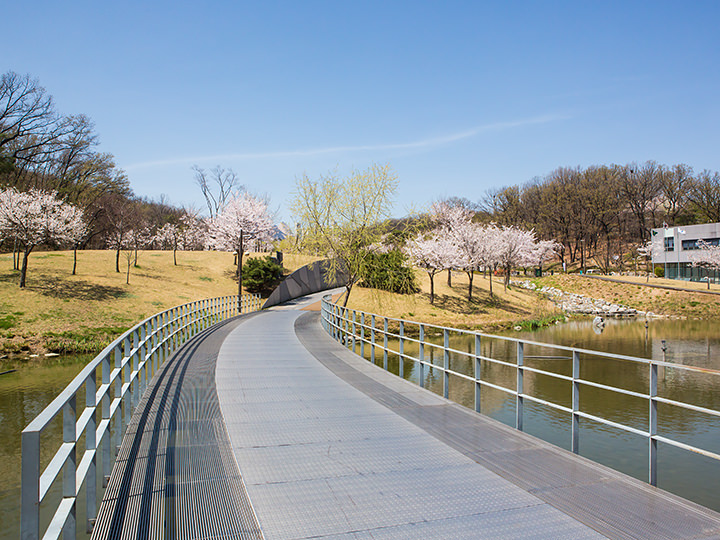 经常出现在电视中的小路