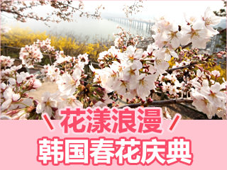 韩国春花庆典大集合