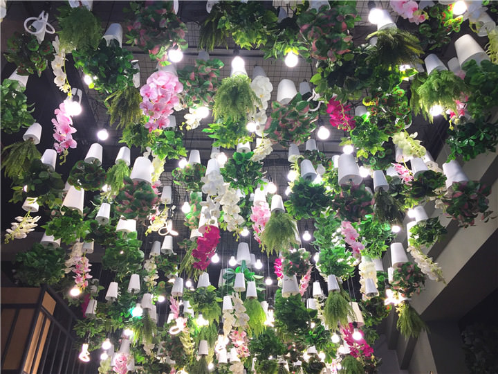 天花板的花草照明想多停留个10分钟