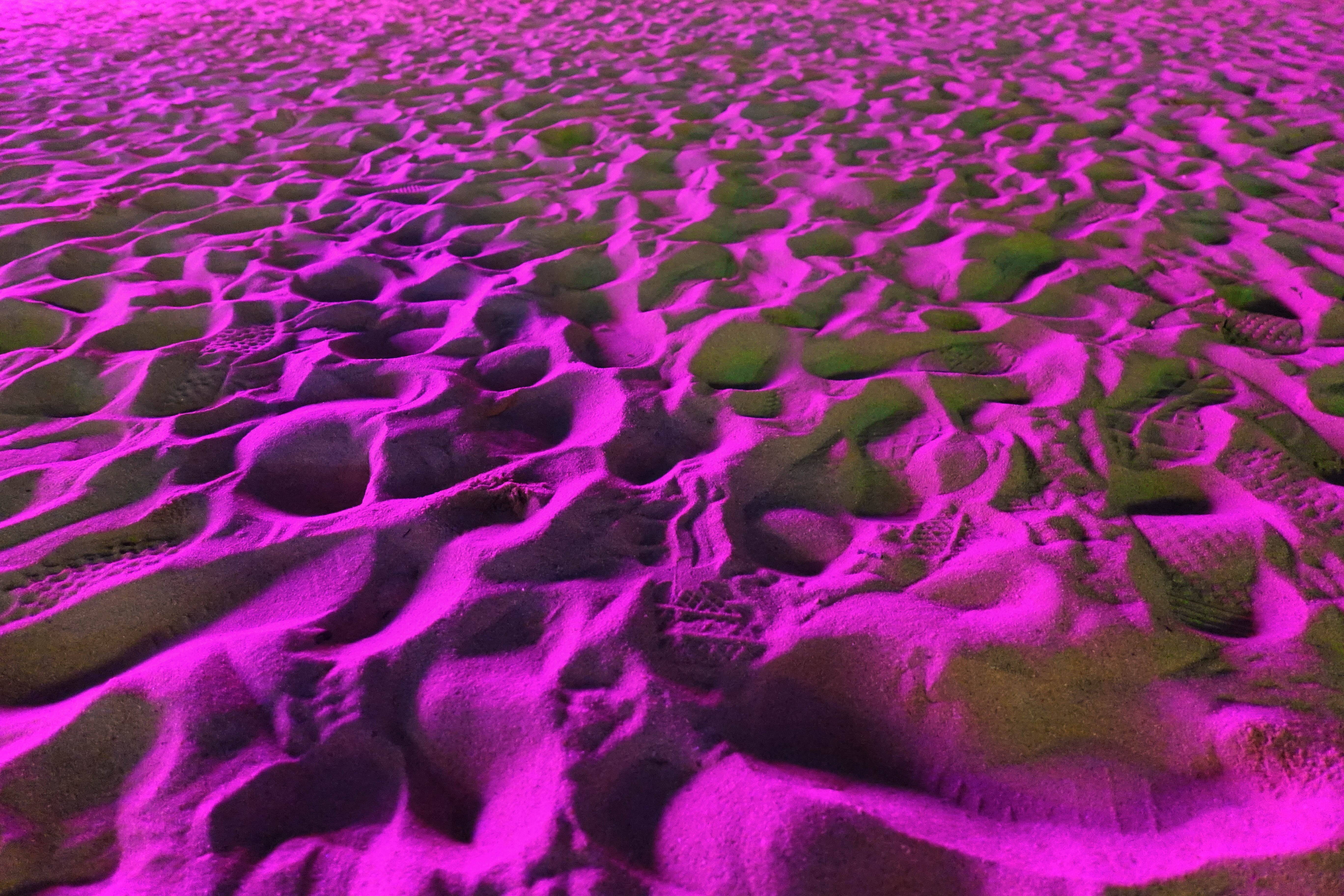 在灯光的照拂下变成了紫色海滩