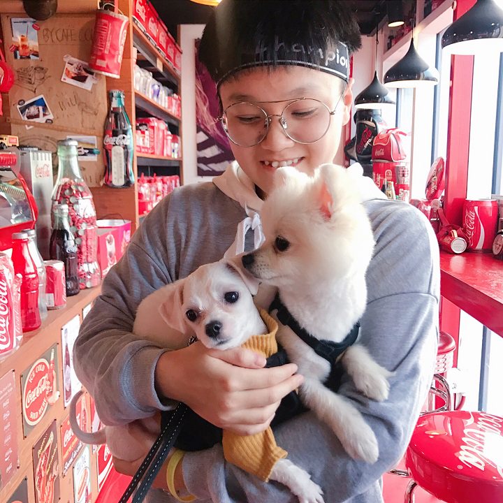 两位很棒的人带来的狗仔