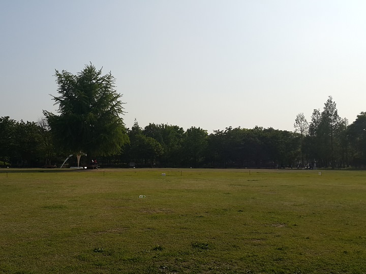 首尔林文化艺术公园