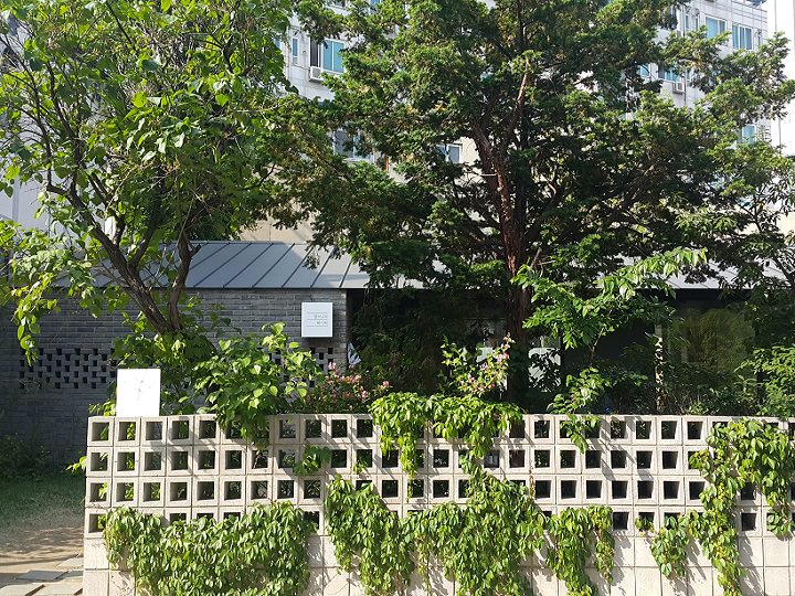 隐藏在枝繁叶茂中的奶奶的食谱