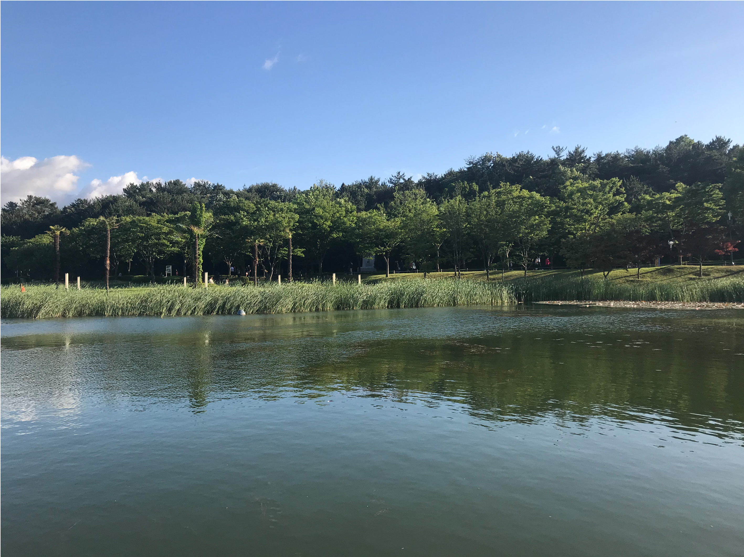 微波粼粼的湖面